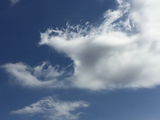 069E3BBD-58FA-433A-9949-42F455462455.jpg