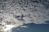 IMG_0080.JPG