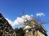 IMG_0374.JPG