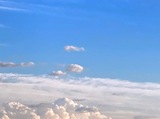 IMG_0803.JPEG