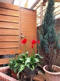 IMG_1756.JPEG