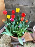 IMG_1772.JPEG
