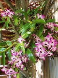 IMG_1885.JPEG