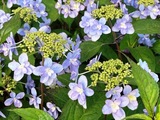IMG_1896.JPEG