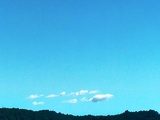 IMG_20201011_115824_5.jpg