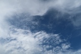 IMG_2231.JPG