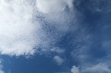IMG_2529.JPG