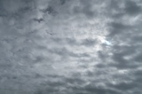 IMG_2661.JPG