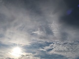 IMG_4084.JPG