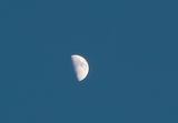 IMG_4121.JPG
