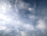 IMG_4254.JPG