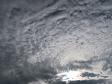 IMG_4349.JPG