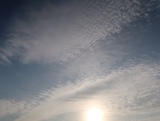 IMG_4354.JPG