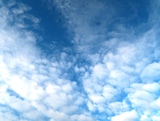 IMG_4497.JPG
