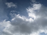 IMG_4583.JPG