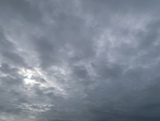 IMG_4585.JPG