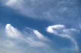 IMG_4655.JPG