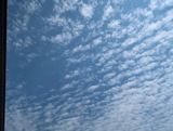 IMG_4712.jpeg