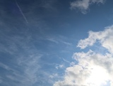 IMG_4749.JPG