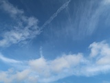 IMG_4750.JPG
