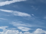 IMG_4796.JPG