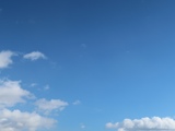 IMG_5252.JPG