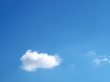 IMG_5260.JPG