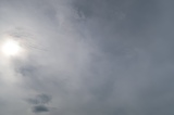 IMG_5321.JPG