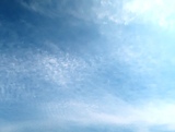 IMG_5575.JPG
