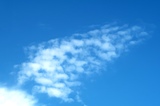 IMG_5943.JPG