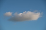 IMG_6003.JPG