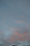 IMG_6151.JPG