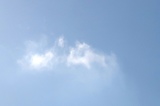 IMG_7350.JPG