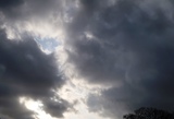 IMG_7800.JPG