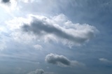 IMG_8524.JPG