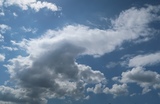 IMG_8629.JPG