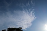 IMG_8896.JPG