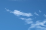 IMG_8937.JPG