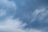 IMG_9027.JPG