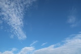 IMG_9730.JPG